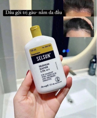 Giàu gội trị gàu