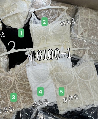 Áo lót ren kèm đệm ngực 2304