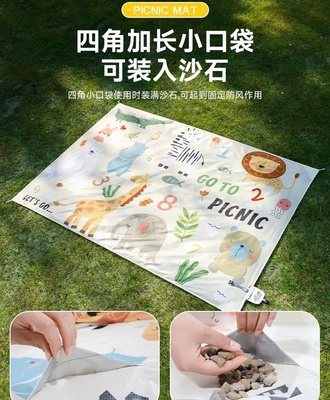Thảm dã ngoại 2904