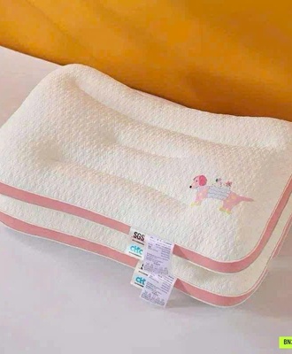 Gối hỗ trợ cột sống 2905