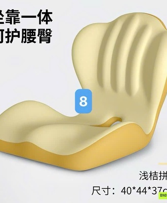 Gối công thái học 0407