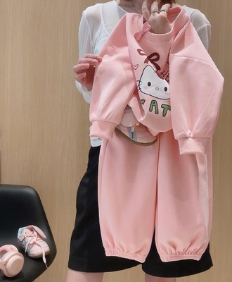Bộ nỉ hàn mèo kitty 1607