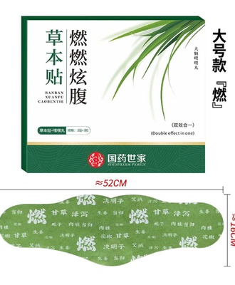 Miếng dán ngải cứu 2207
