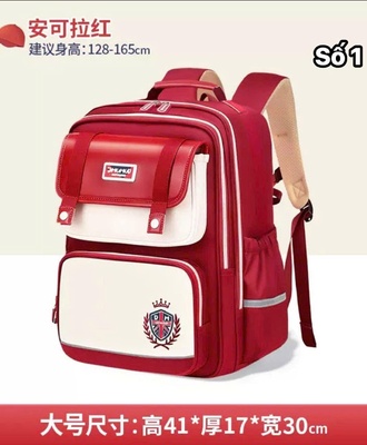 Balo chống gù cao cấp 2807