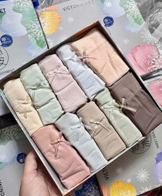 Sét 10 quần chíp nữ 1608