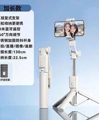 Gậy chụp ảnh 3008
