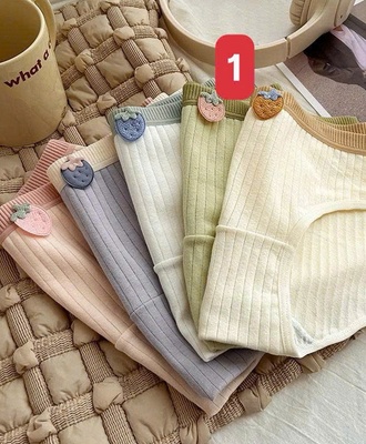 Sét 5 quần chíp nữ 0409