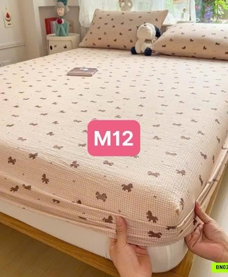 Ga giường 0709