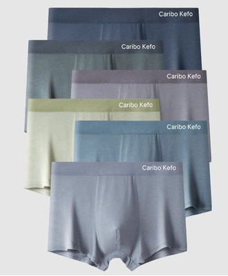 Combo 7 quần lót nam 2209