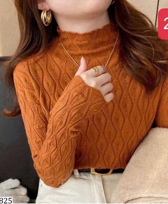 Áo len nữ 2809
