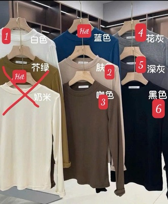 Áo thun dài tay nữ 0610